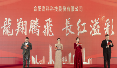 龙翔腾飞喜迎春，，，，，，长红溢彩抖精神——合肥老子有钱lzyq882024年会盛典